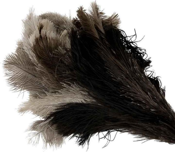 Produktbild Bürstenhaus Redecker Straussenwedel (1 Stk.)