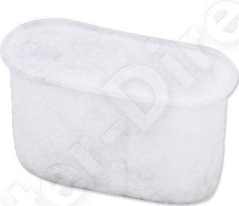 De'Longhi Antichlorfilter Chlor Filter 5513214241 / 7313285779