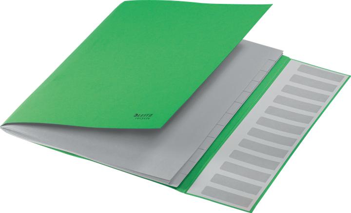 Image du produit Leitz Classeur Recycle A4 vert (A4, 1x)