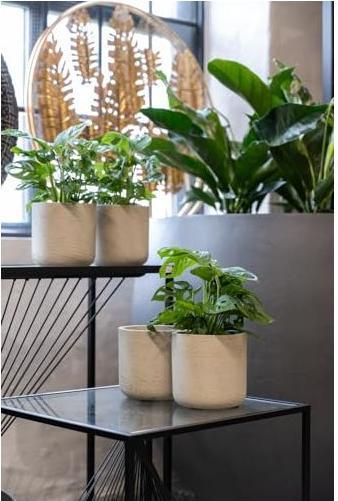 Actual product image Pottery Pots Charlie XXS