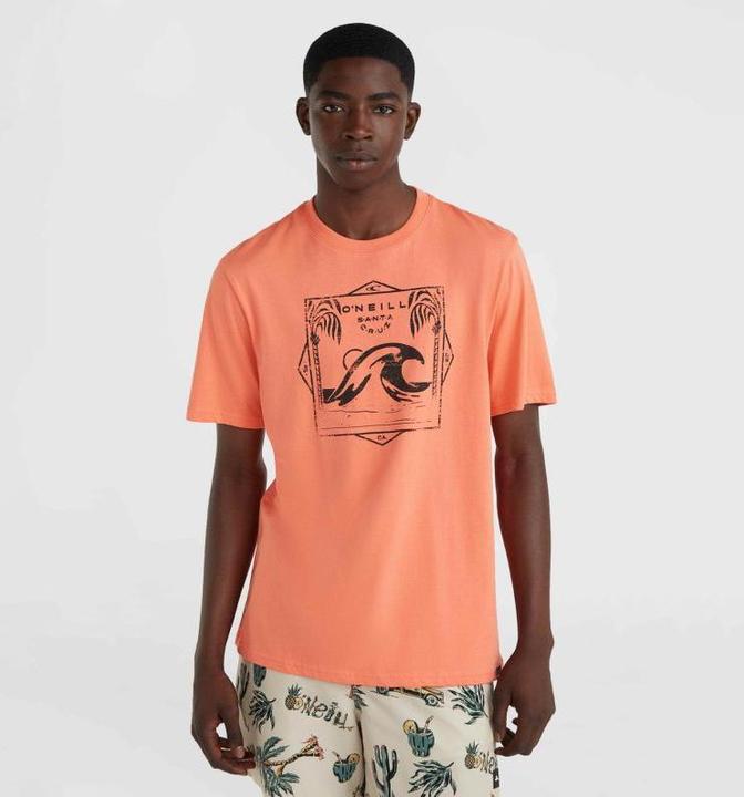 Immagine prodotto O'Neill Maglietta Wave Mix & Match (M)