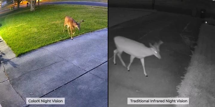 Actual product image Reolink IP W320X 2K HDR camera (2560 x 1440 Pixels)