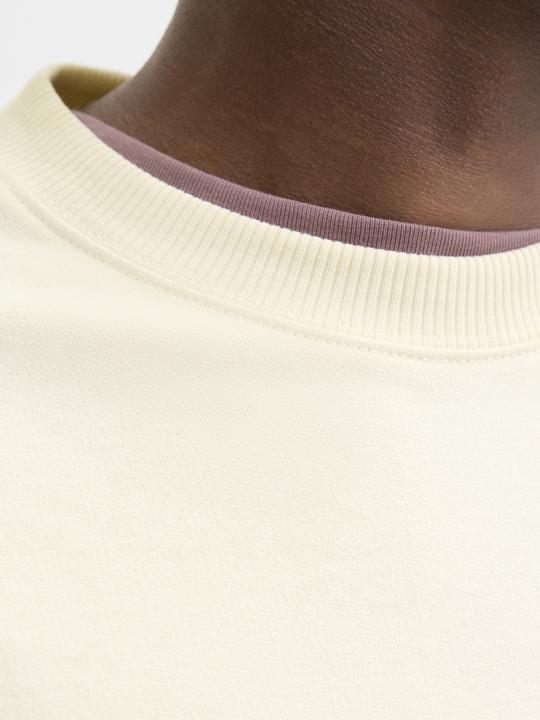 Produktbild Jack & Jones Sweatshirt Sweatshirt (XXL)