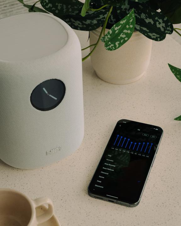 Image du produit WiiM Son Lpwisndw (Amazon Alexa, Apple Siri, Assistant Google)