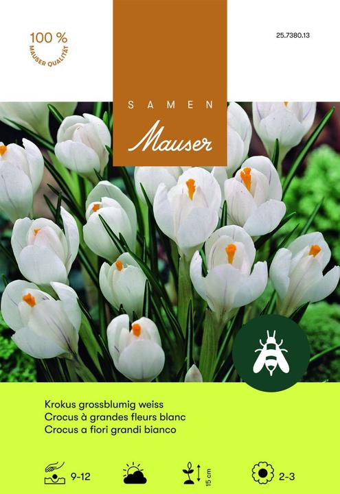 Image du produit Samen Mauser Crocus Ideal blanc (Bulbes de fleurs)