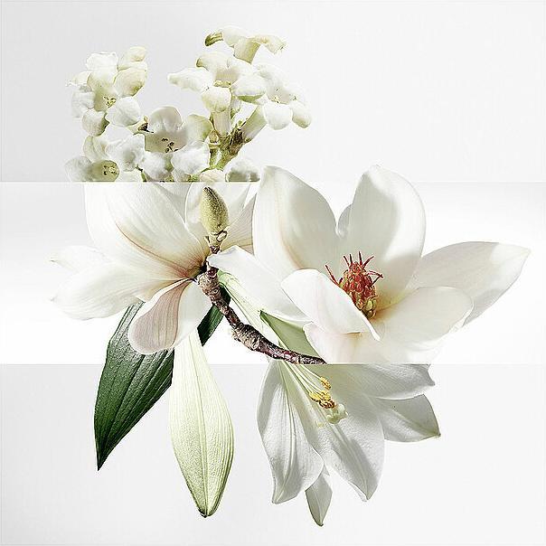 Image du produit Hermès Un Jardin Sur La Lagune (Eau de toilette, 50 ml)