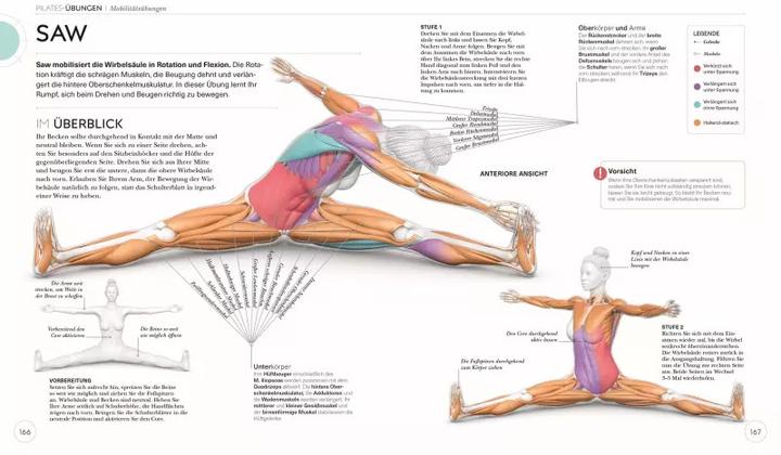 Produktbild Pilates - Die Anatomie verstehen (Deutsch, Tracy Ward, 2022)