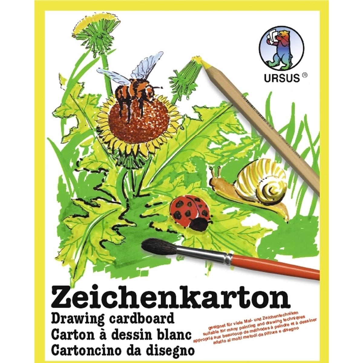 Ursus, Bastelpapier, Zeichenkarton 120g/qm A2 VE=100 Blatt (120 g/m², 1 x)