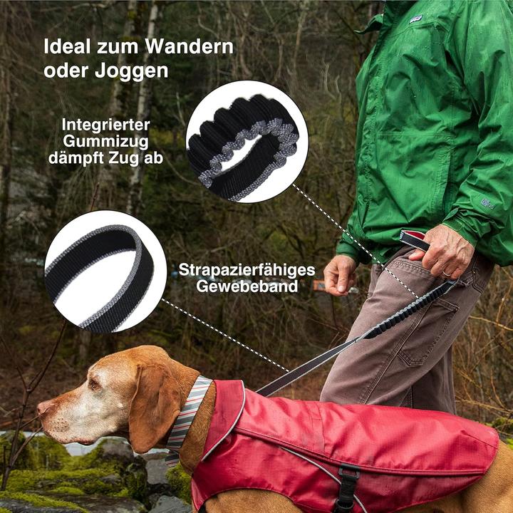 Actual product image Kurgo Springback Leash (Dog, Jogging)