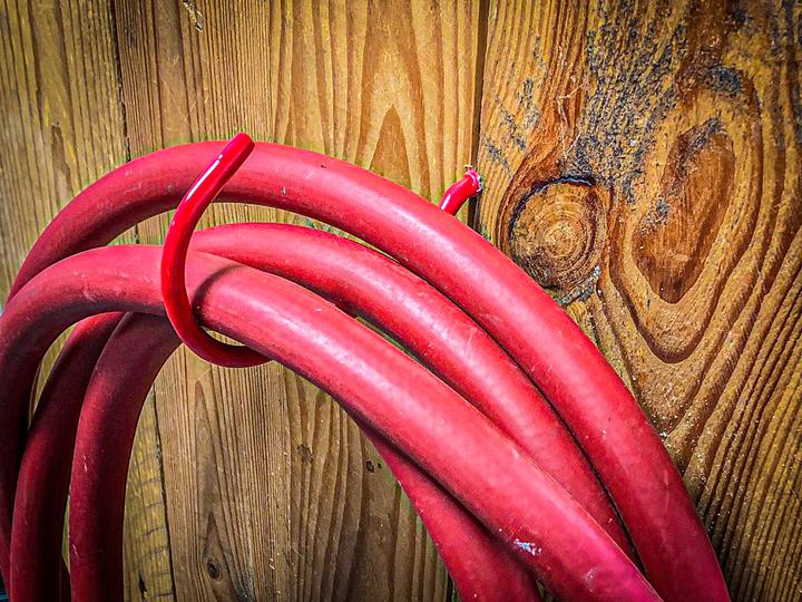 Actual product image BGS Wall and Ceiling Screw Hook Assortment | 8 pcs.