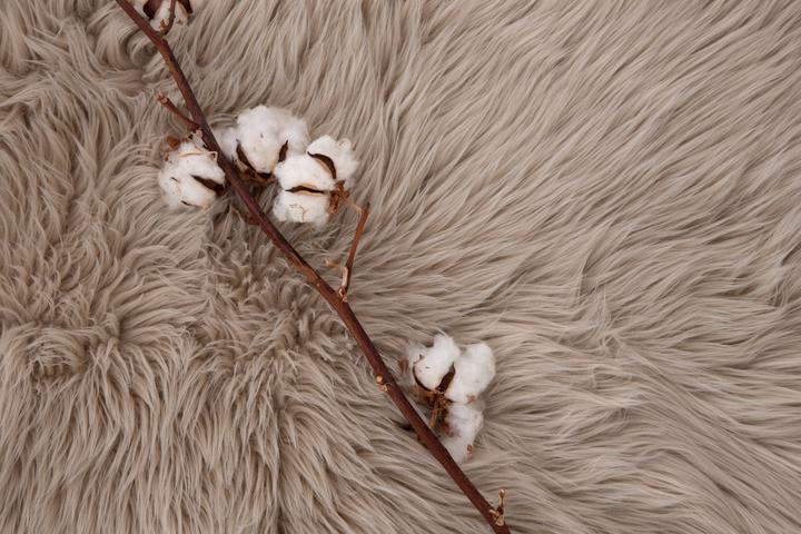 Image du produit Venture Home Katy