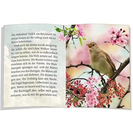 Thumbnail - Das Märchen von der Nachtigall, Sachbücher von Doris Bewernitz