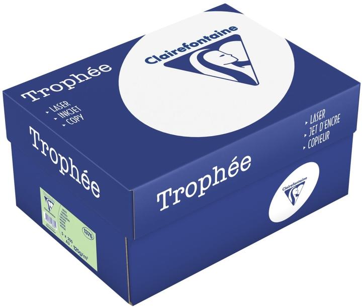 Image du produit Clairalfa Papier multifonctions Troph'e, A3, vert clair (120 g/m², 250 x, A3)