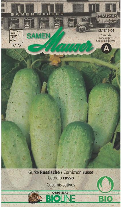 Actual product image Samen Mauser Cucumber Russian (Vegetable seeds)