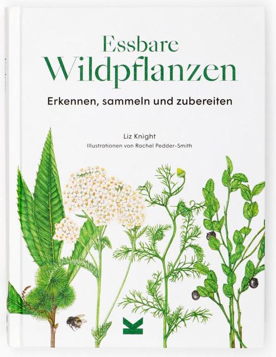 Image du produit Essbare Wildpflanzen (Allemand, Crabe Wiebke, Liz Knight, Rachel Pedder-Smith, 2021)