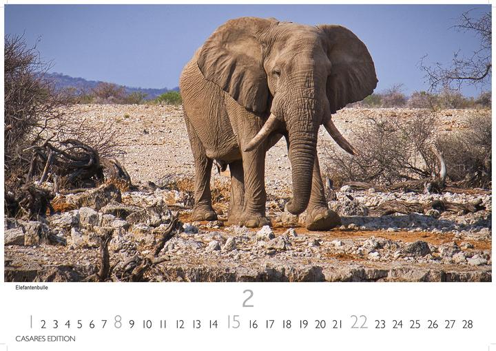 Produktbild Namibia 2026 L 35x50cm