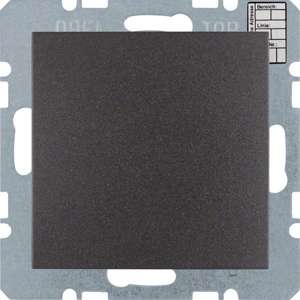 Actual product image Berker 75441285