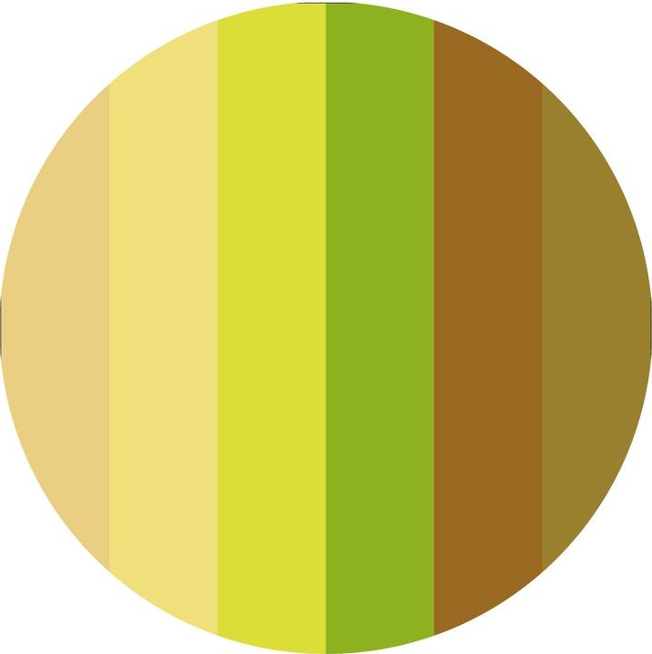 Image du produit Catrice Palette d'ombres à paupières The Joker 020 The Clown Prince of Crime (020 Le clown prince du crime)