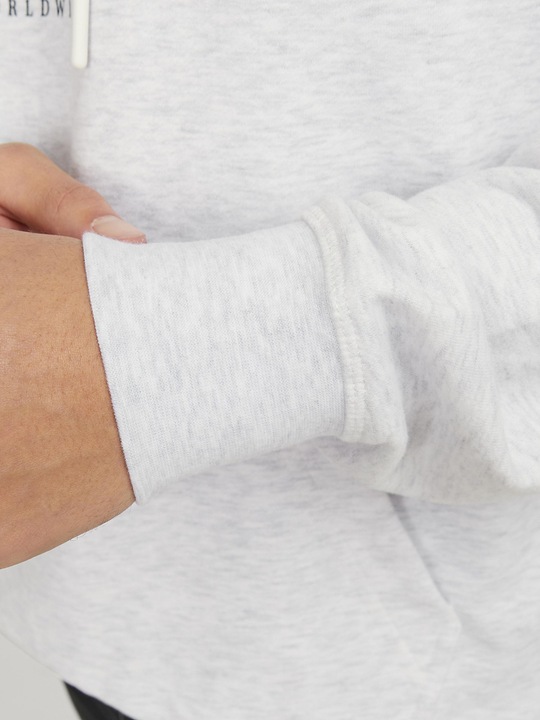 Actual product image Jack & Jones Jorlafayette Branding Sweat Hood (S)