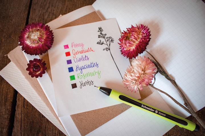 Actual product image Schneider Xpress (Green, Black, 1 x)