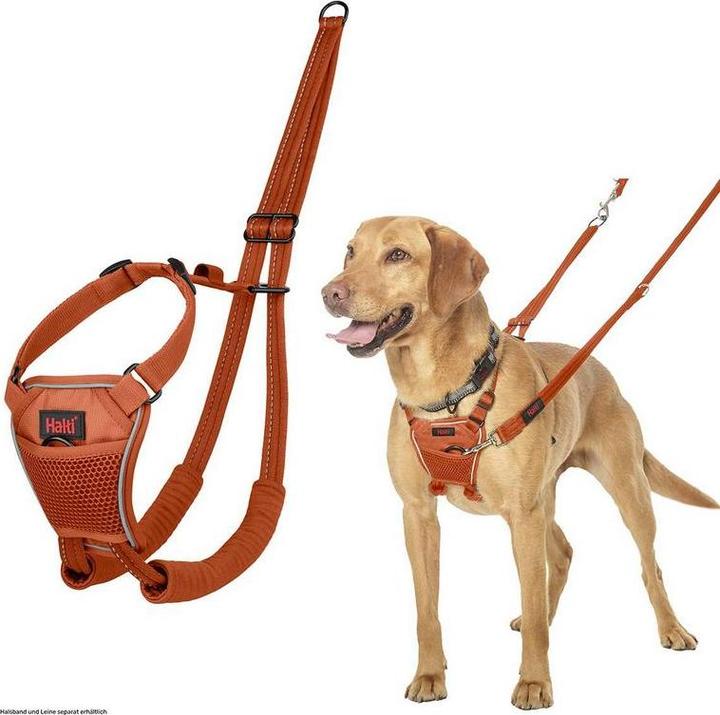 Actual product image Halti No Pull Geschirr (Dog, Walks)