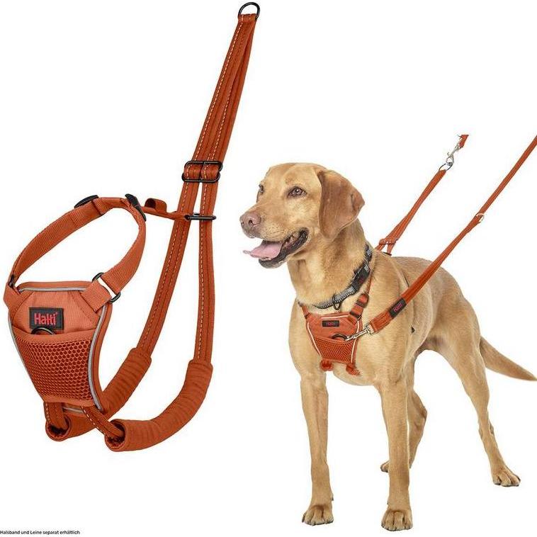Halti Nero No Pull Geschirr (Cane, Passeggiare), Collare + Guinzaglio