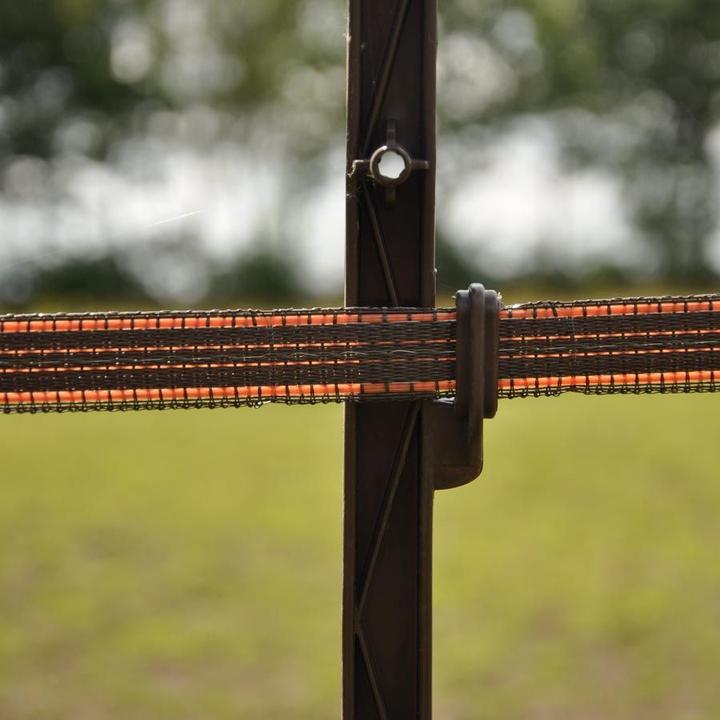 Actual product image Gallagher Stake for horses