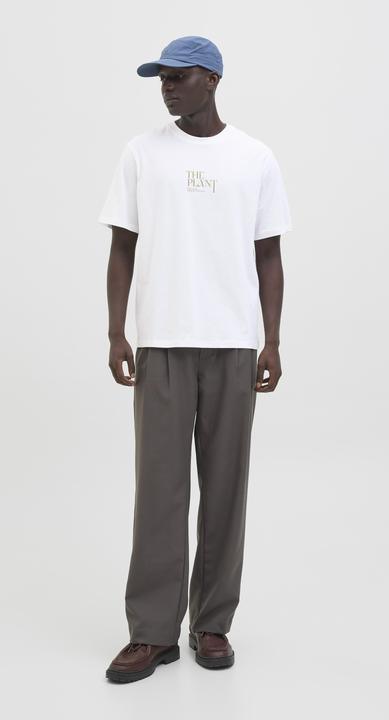 Image du produit Jack & Jones Jorbradley Herbarium Tee Ss C.N Stmss25 (M)