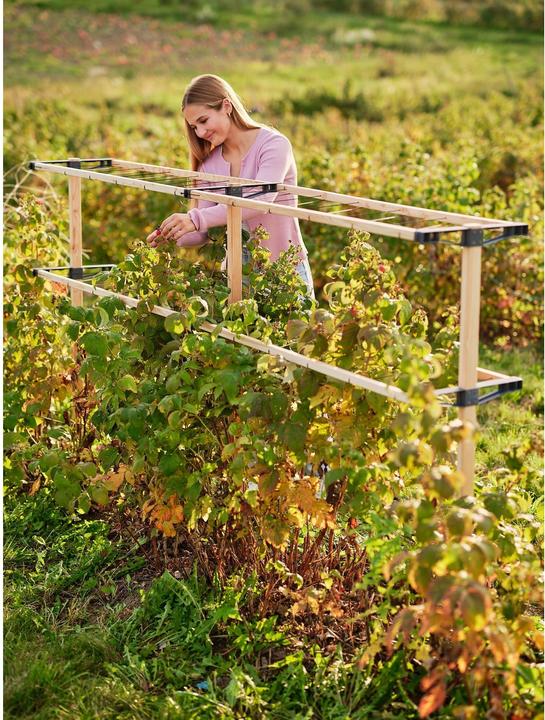 Actual product image Gusta Garden Berry Buddy (120 cm, 34.50 cm)