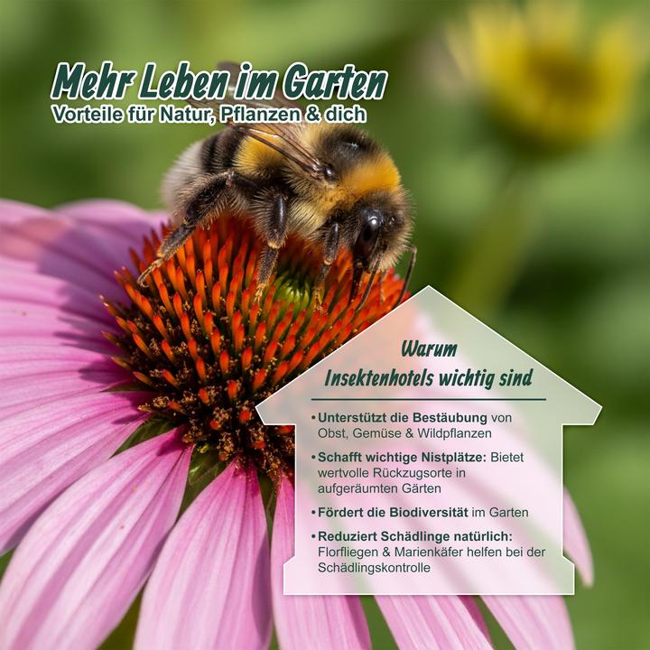 Immagine prodotto Relaxdays Casa insetti (Api, Coccinelle, Farfalle, Merletti)