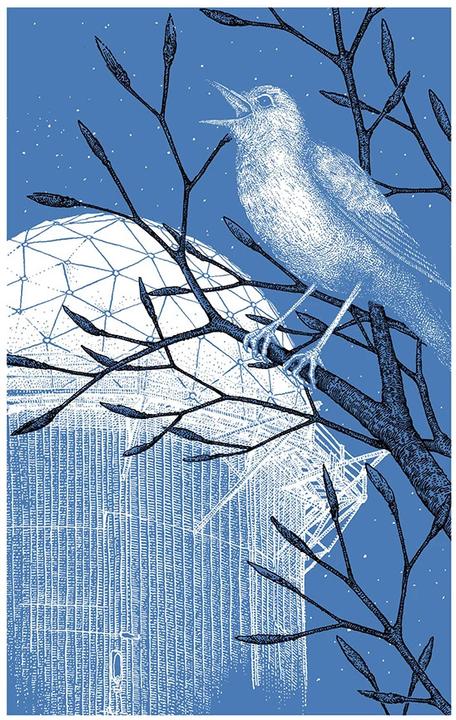 Produktbild Die Nachtigall (Deutsch, Silke Kipper, 2022)