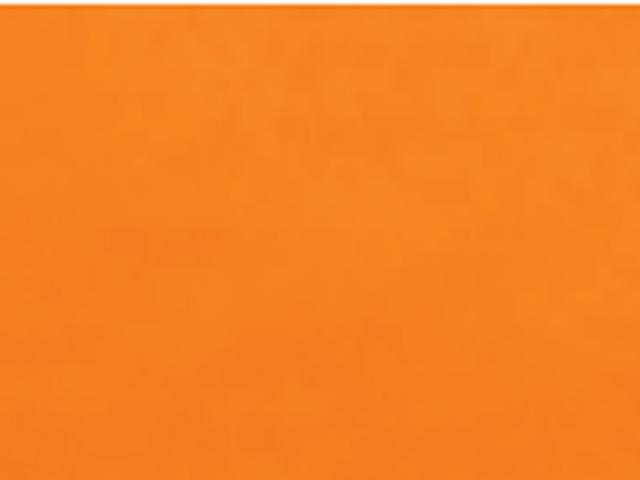 Immagine prodotto Talens Vernice opaca Ecoline 30ml (30 ml)