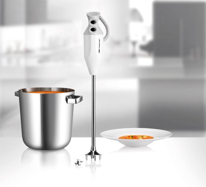 Produktbild Unold ESGE-Zauberstab G 350 Gastro Max