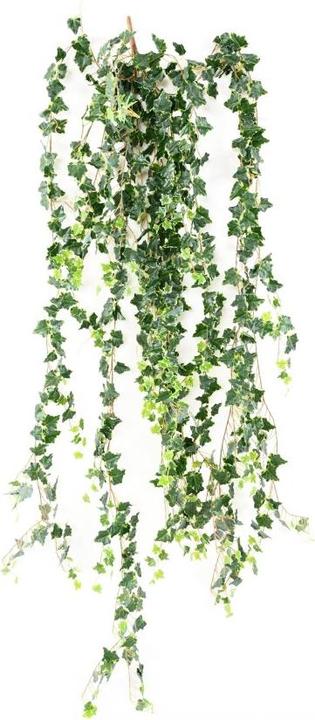 Image du produit Greendeco Mini liane de lierre artificielle, env. 200cm vert/blanc (200 cm)