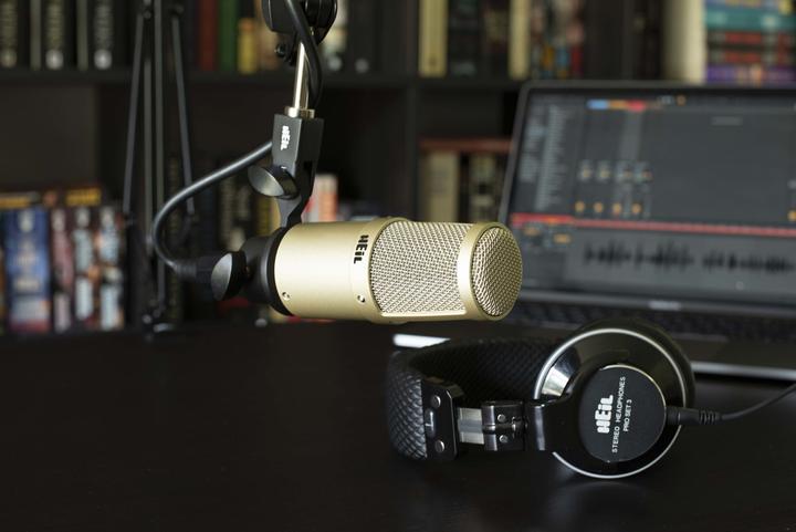 Actual product image Heil Sound PR 30 (Champagne)