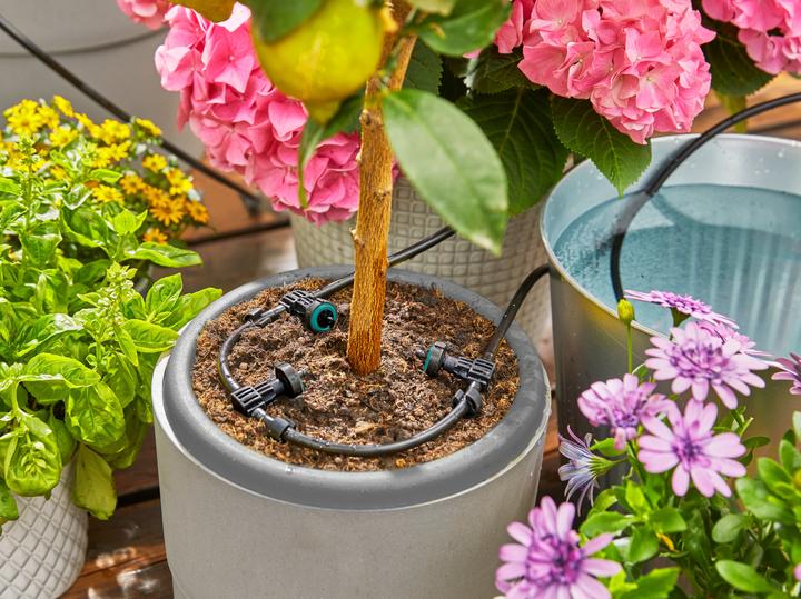 Image du produit Gardena Kit AquaBloom (Kit d'irrigation goutte à goutte)