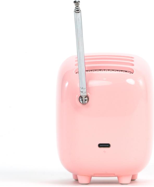 Actual product image Divoom Tiivoo-2 pink