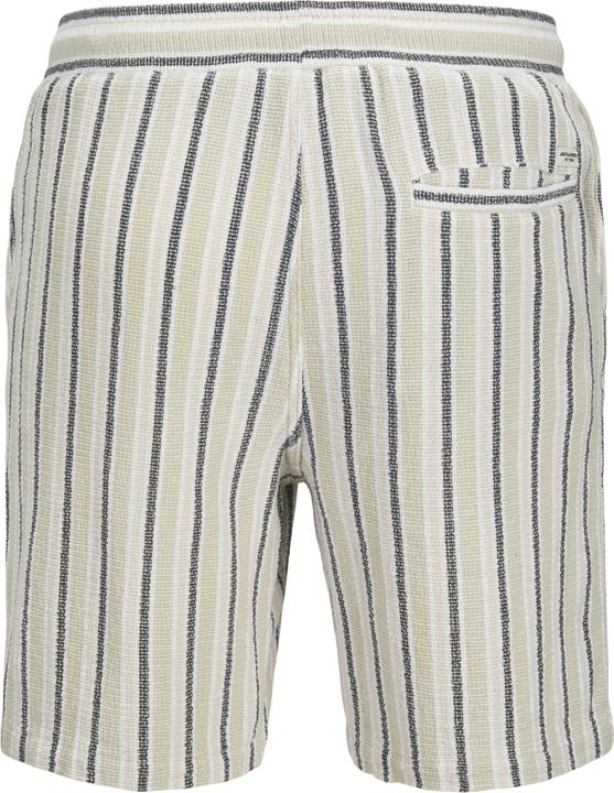 Actual product image Jack & Jones Jpstjaiden Coba Stripe Jog Short Sn Pls (42)