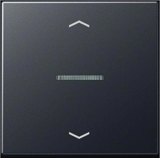 Actual product image JUNG BTA17101BFPANM HOME Push button