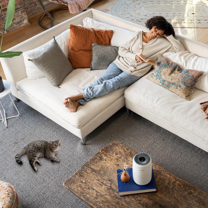 Actual product image Levoit Core Mini (20 m²)