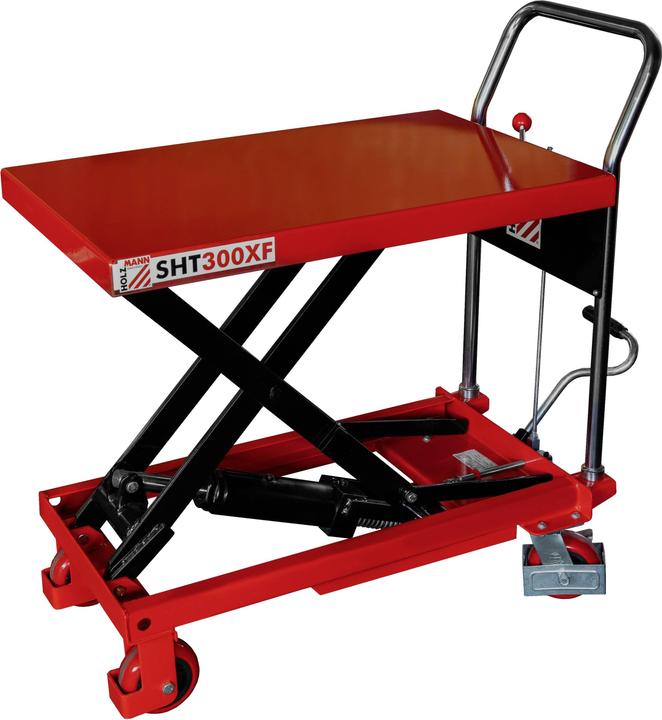 Holzmann Tavola elevatrice SHT300XF (300 kg)