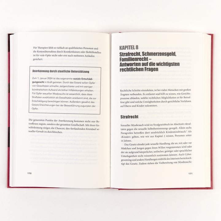 Produktbild Kein Kind ist sicher (Deutsch, Eva Strnad, 2025)