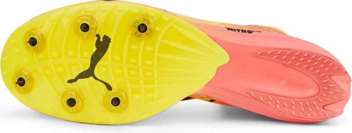 Produktbild Puma evoSPEED Distance Nitro Elit (46)