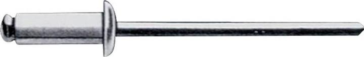 Immagine prodotto Gesipa Rivetto cieco Gambo del rivetto d x l 5 x 10 mm acciaio / acciaio 500 pezzi