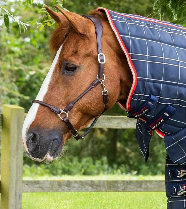 Image du produit Premier Equine Domus 400 g