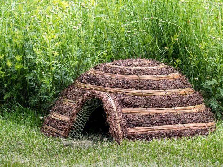 Produktbild Wildlife World Iglu