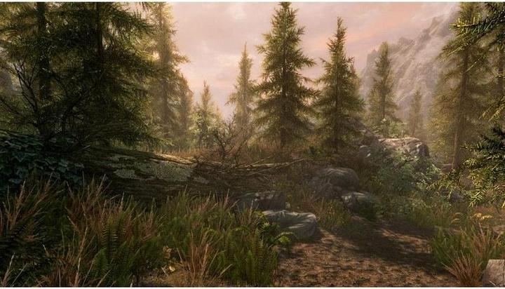 Actual product image Bethesda The Elder Scrolls 5: Skyrim Anniversary Edition (Free upgrade to PS5) (PS4, PS5, DE)