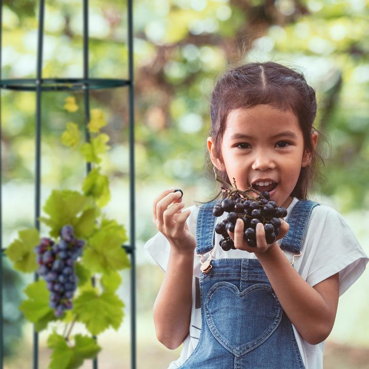 Actual product image Relaxdays Climbing aid (40 cm, 40 cm)
