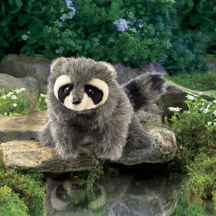 Produktbild Folkmanis Kleiner Waschbär