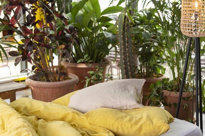 Produktbild Room05 Lino Line (Bettwäsche Set, 65 x 100 cm, 160 x 210 cm)